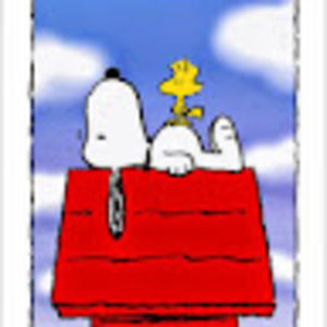 Meet your Posher, Zoe